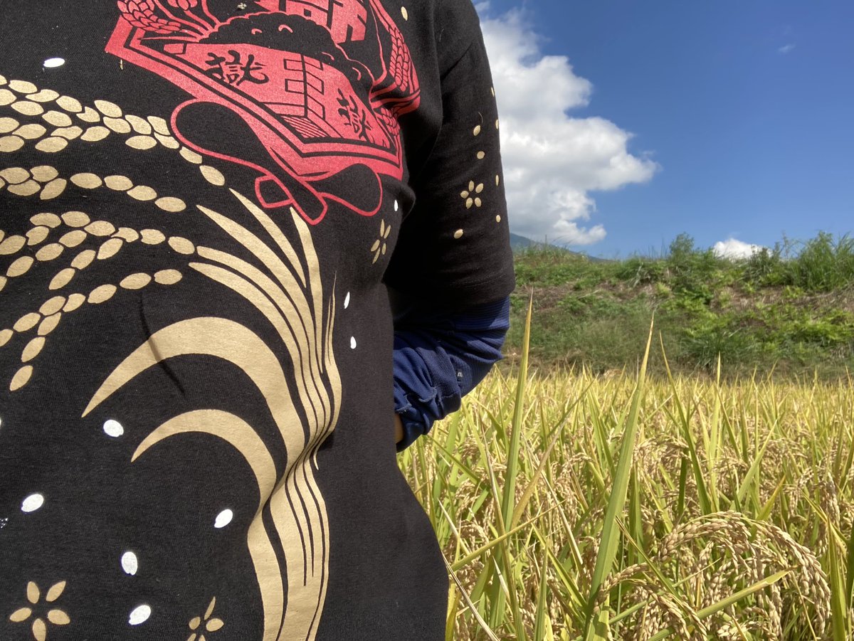 稲刈り作業着。