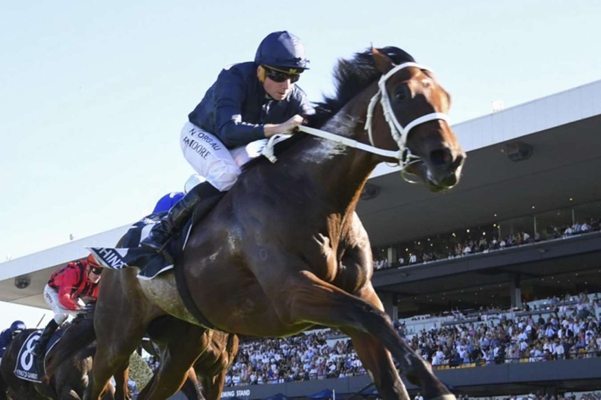 Chris Waller has said that Shinzo is still on track for the $20 million TAB Everest at Randwick on the 14th of October, despite a 9th place finish first-up in the Golden Rose last weekend.

For full story, view link below.

jockeyhub.com.au/trainer-hub/wa…

#NSWRacing #TheEverest