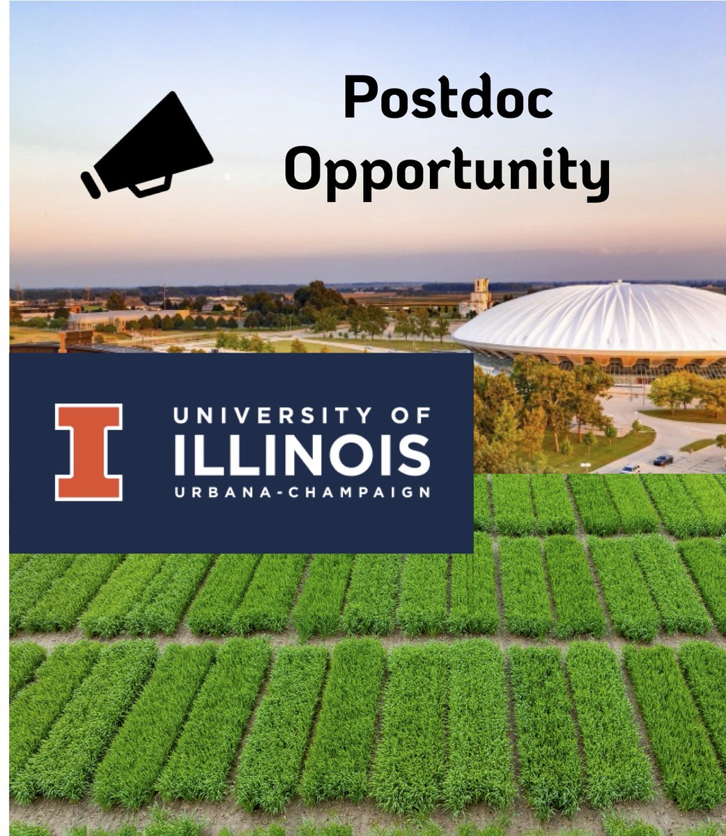 Are you interested in mastering the art of predictive breeding?

Are you a recent, or soon-to-be Ph.D. graduate passionate about plant breeding?

If you answered yes to both of these questions, consider doing a postdoc under my supervision. Details here: smallgrains.web.illinois.edu/wp/join-us/