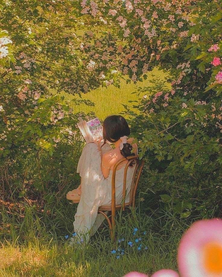 poetical photos. (@poeticalphotos) on Twitter photo 