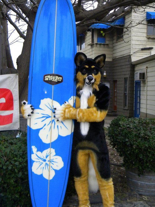 FollowWhiskey's tweet photo. Remembering our friend @dogbomb1 on his birthday today. He would have been 60 years old if it wasn't for ALS. 4 years ago, he brought the fandom together by documented his health-decline as ALS robbed him of his body. He is not forgotten.  #ALScankissmyfuzzybutt https://t.co/NVh4C6TKzb