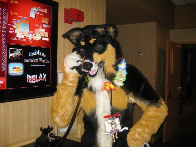 FollowWhiskey's tweet photo. Remembering our friend @dogbomb1 on his birthday today. He would have been 60 years old if it wasn't for ALS. 4 years ago, he brought the fandom together by documented his health-decline as ALS robbed him of his body. He is not forgotten.  #ALScankissmyfuzzybutt https://t.co/NVh4C6TKzb