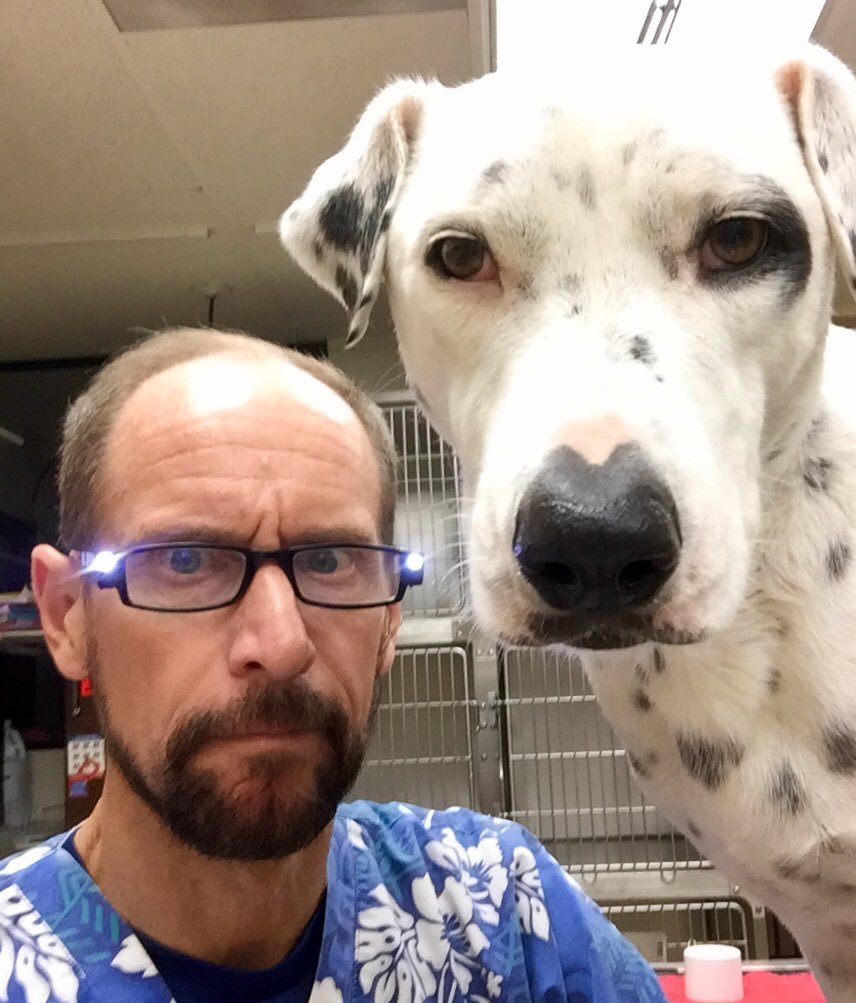FollowWhiskey's tweet photo. Remembering our friend @dogbomb1 on his birthday today. He would have been 60 years old if it wasn't for ALS. 4 years ago, he brought the fandom together by documented his health-decline as ALS robbed him of his body. He is not forgotten.  #ALScankissmyfuzzybutt https://t.co/NVh4C6TKzb
