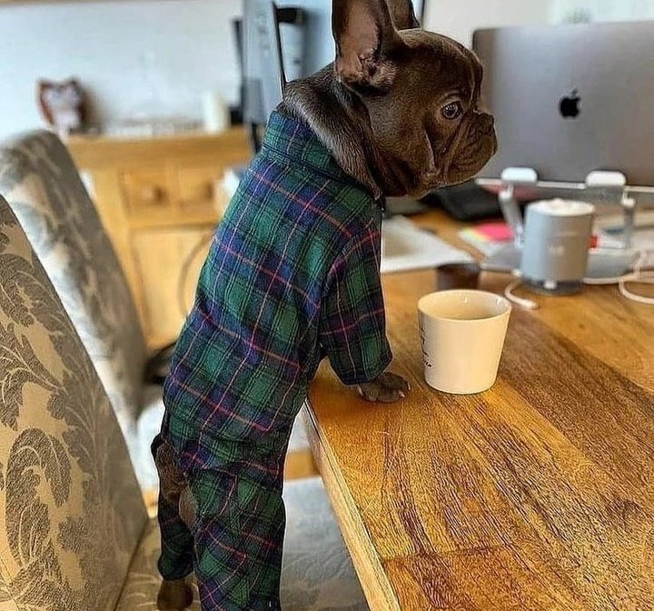 I asked for a latte macchiato, not an espresso 😑