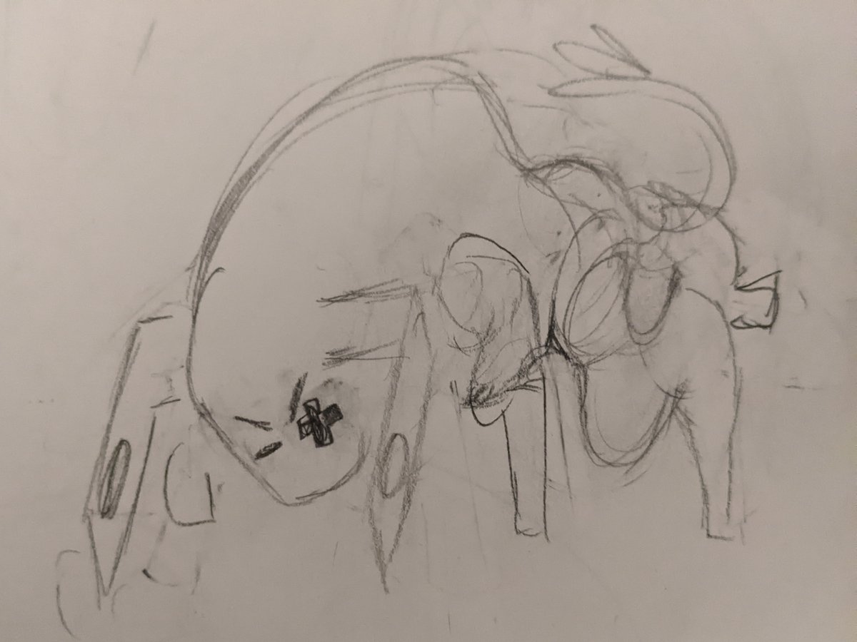 TipTop TomCat tweet media