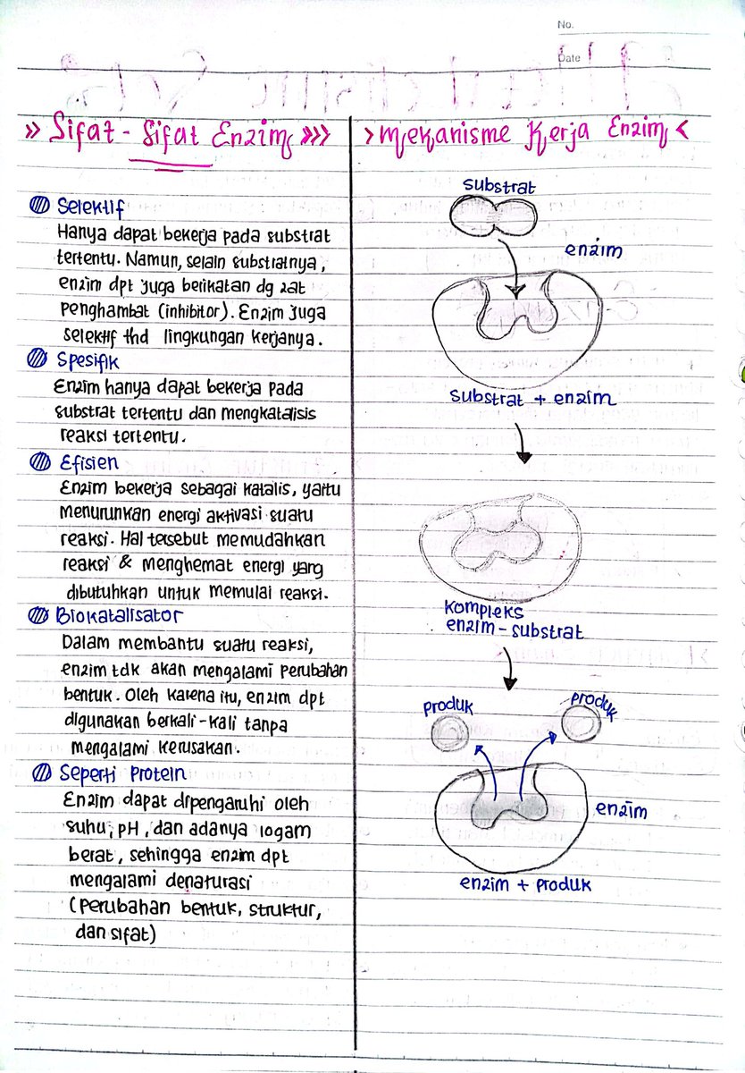 navenadaily's tweet photo. 🎀 Catatan Metabolisme Sel 🧬
──kelas 12

sumber : youtube Gia Academy &amp; buku LKS https://t.co/d260R1BtSV