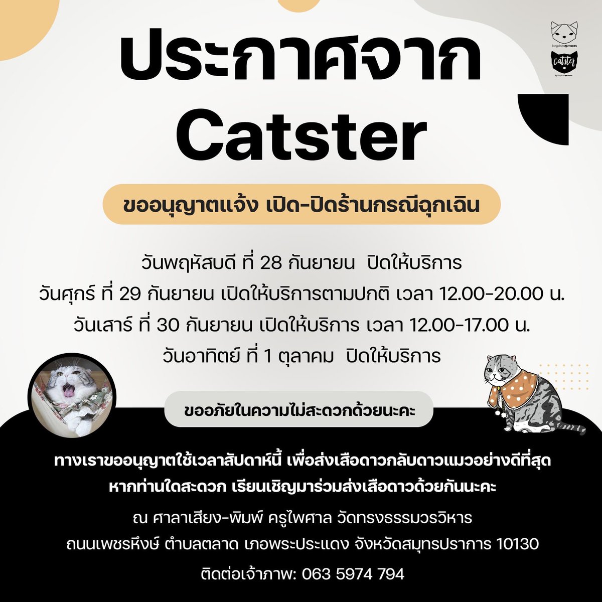 Catster & Co บ้านพักพิงแมวจร tweet media