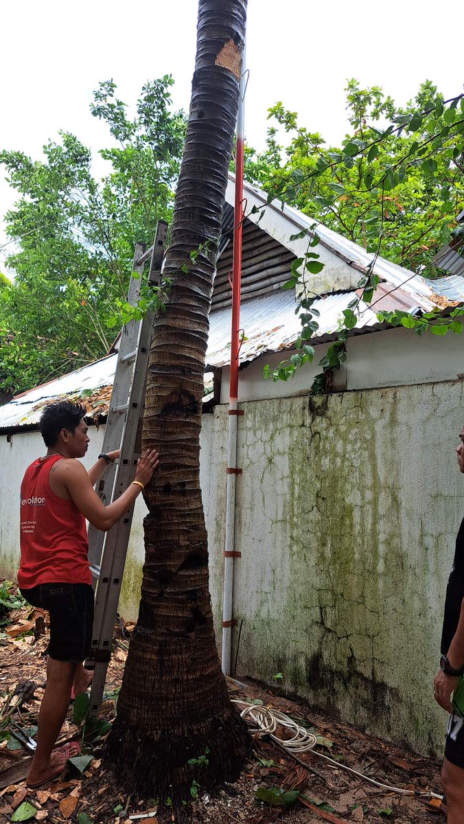 Saltaail's tweet photo. 🌐 Exciting updates from our #RIPEAtlas #ambassadors
📡 One probe in the #Starlink network is now 🆙 (#IPv6 too!), 🔼 there in #Cebu, #PH 🇵🇭!
➡️ https://t.co/wKS7rH7VD2
A big thank you to Alex! 🌍✨ #InternetMeasurement #NetworkDiversity @ripencc @apnic https://t.co/d8puru1Qjc