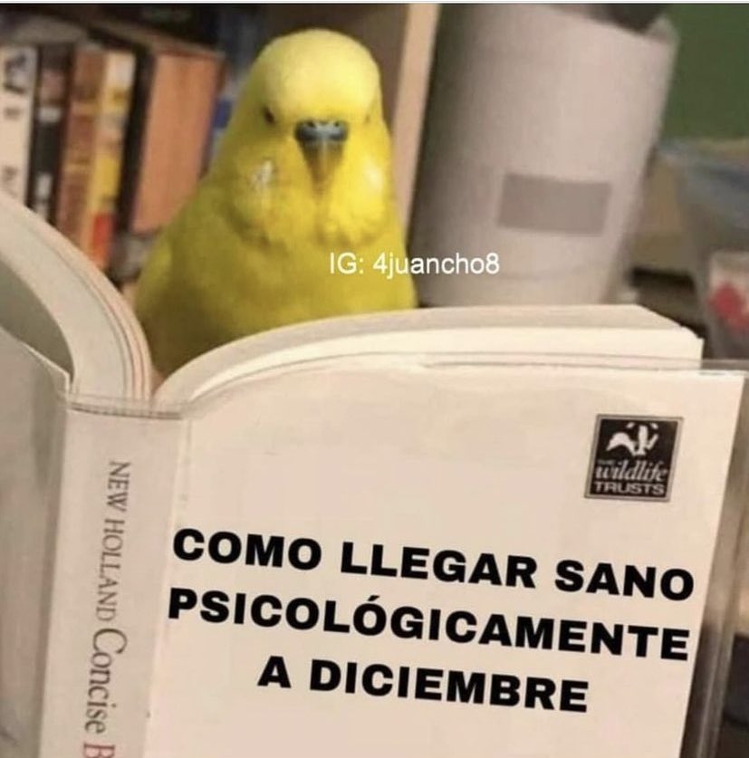 paquita space tweet media