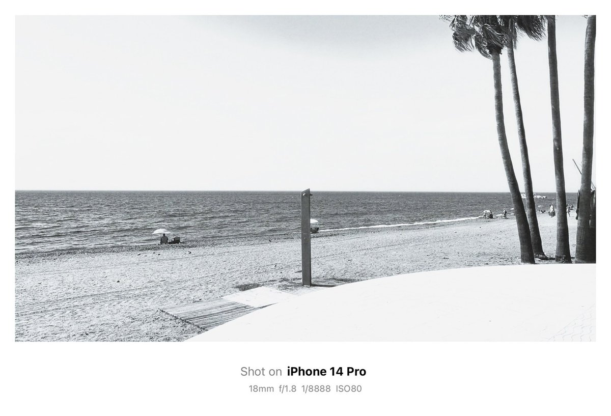 AviProjects's tweet image. 