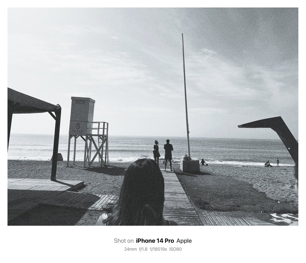 AviProjects's tweet image. 