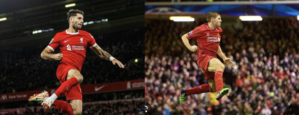 RedReflections tweet media