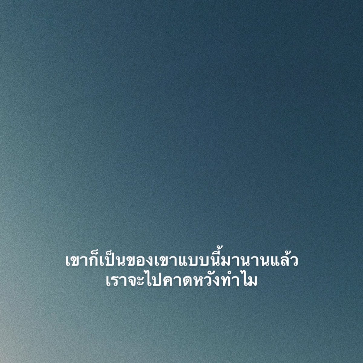 นัทบีพีเซน tweet media