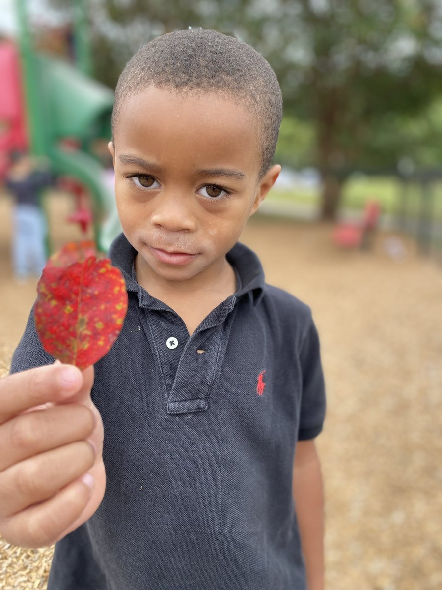 RCPS_EarlyLearn's tweet image. Learning about fall leaves 🍁 
#fall #weatherchange #playgroundscience #prek #pat #dph