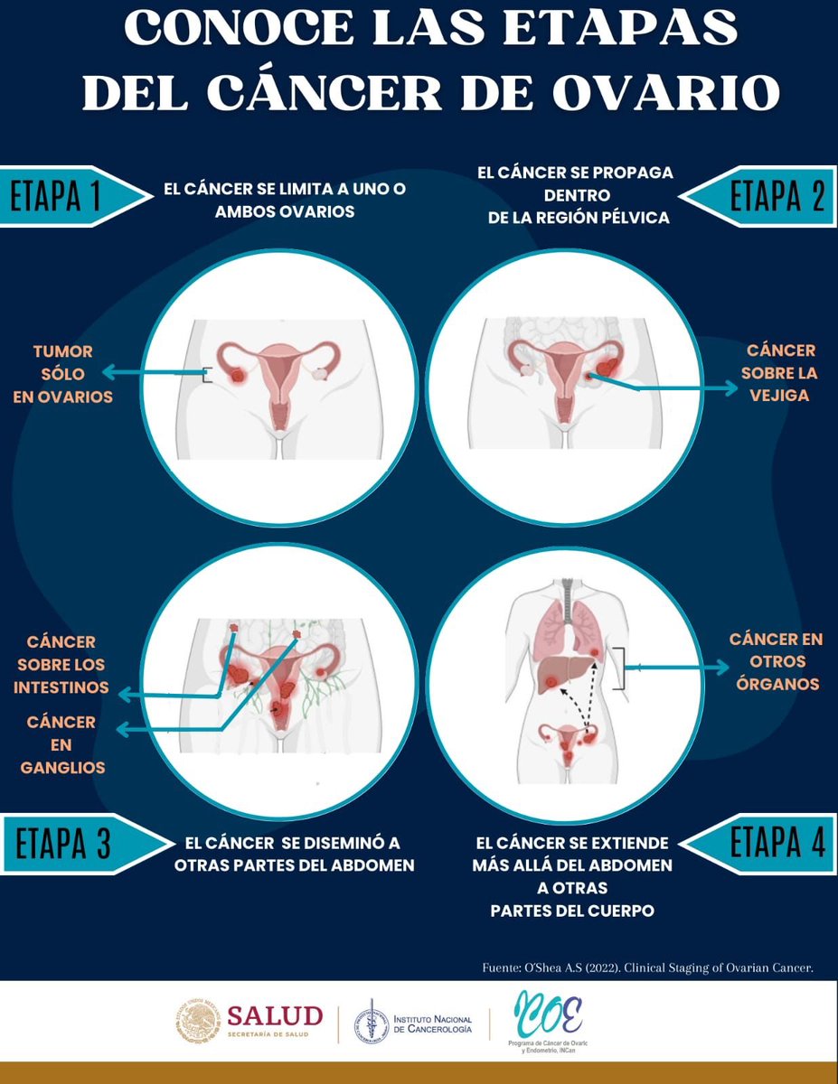 Cáncer de Ovario y Endometrio del INCan (@caova_incan) on Twitter photo 
