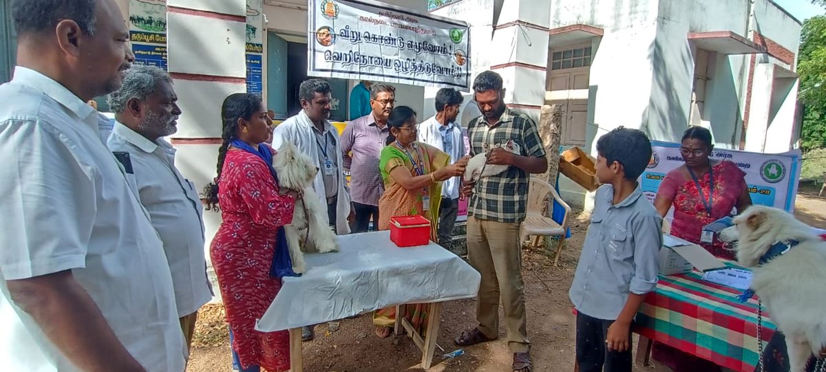 SMunicpality's tweet photo. Respected Madam /sir Srivilliputhur municipality*World rabies day* 28.09.23 Dogs mega vaccination camp conducted with animal husbandry department at veterinary hospital... https://t.co/uJvblfW3eI