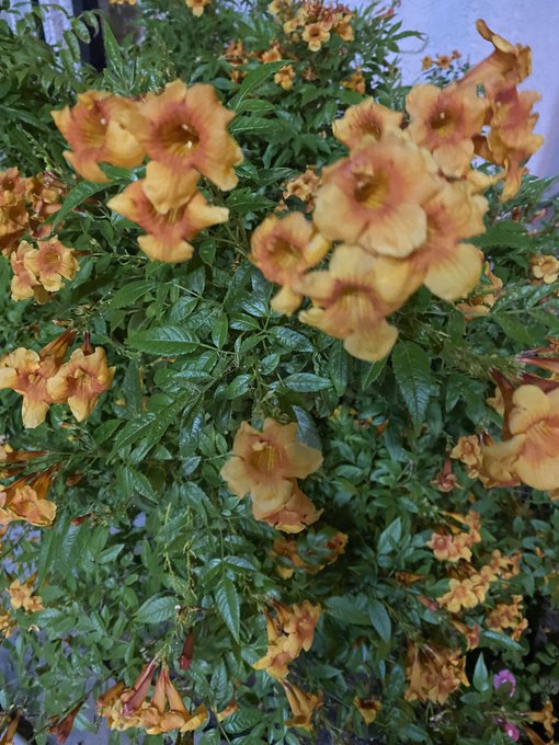 Along my blunt adventure https://t.co/OURkf9CQfX