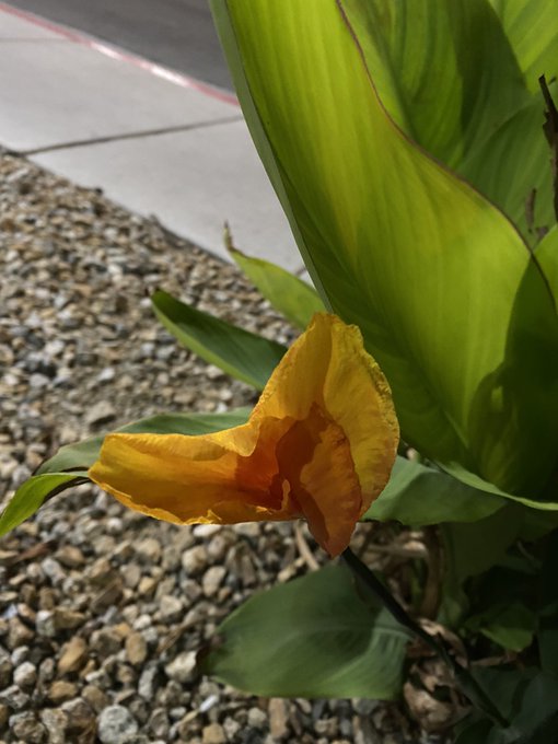 Along my blunt adventure https://t.co/OURkf9CQfX<a href="/tag/mvsales"class="tags"><span>#mvsales</span></a>