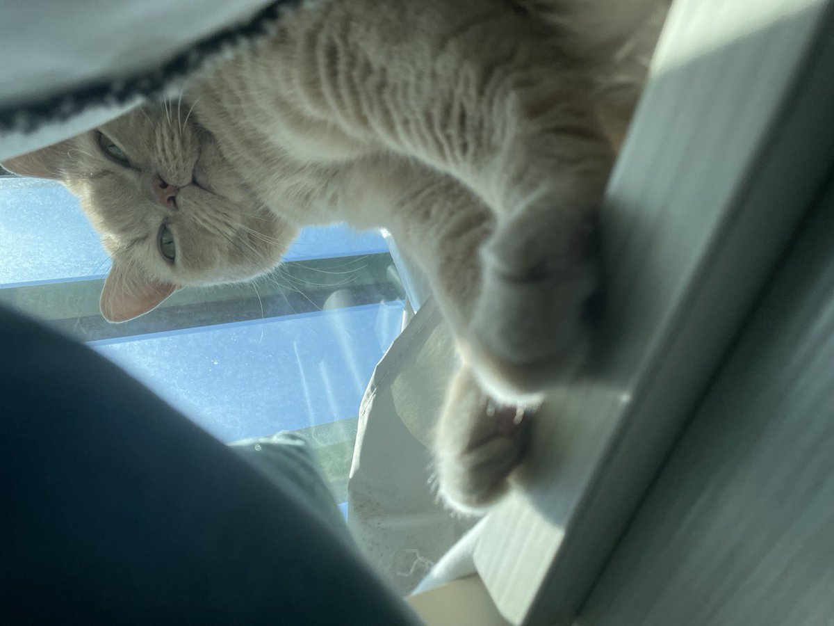 有點窺探角度讓人很興奮