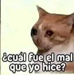 Miguel Ochoa tweet media