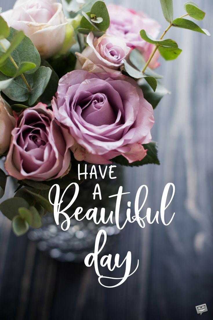 shrinilsoni's tweet photo. @ocjain4 Have a great Day ahead.. I likes yr tweets https://t.co/c2bM9x2yLu
