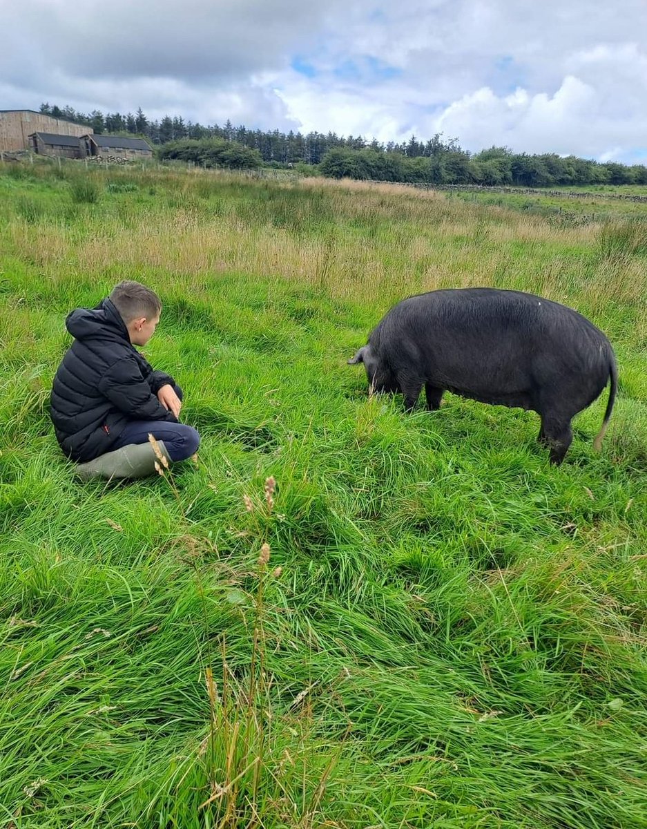 StephanieNight6's tweet photo. So proud of our Farmer Thomas being selected to represent his town team @BwDSFA he better get his annual leave requests in to make sure he gets the shift off ;) Well done Pal. 👍⚽️ #football #youngfarmers #proud https://t.co/aMImXt4Ftd