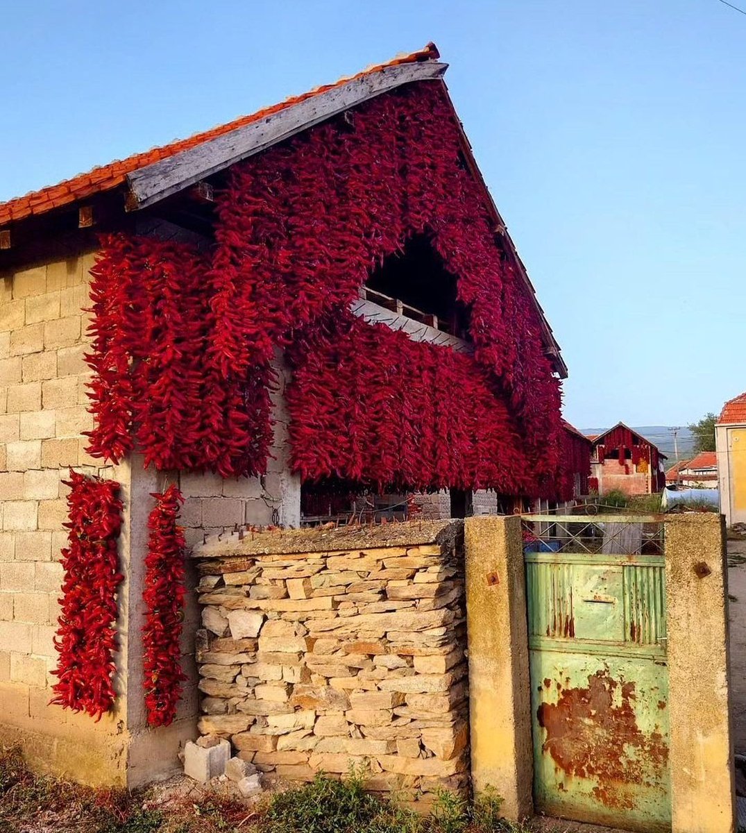 Home made fasada by baba