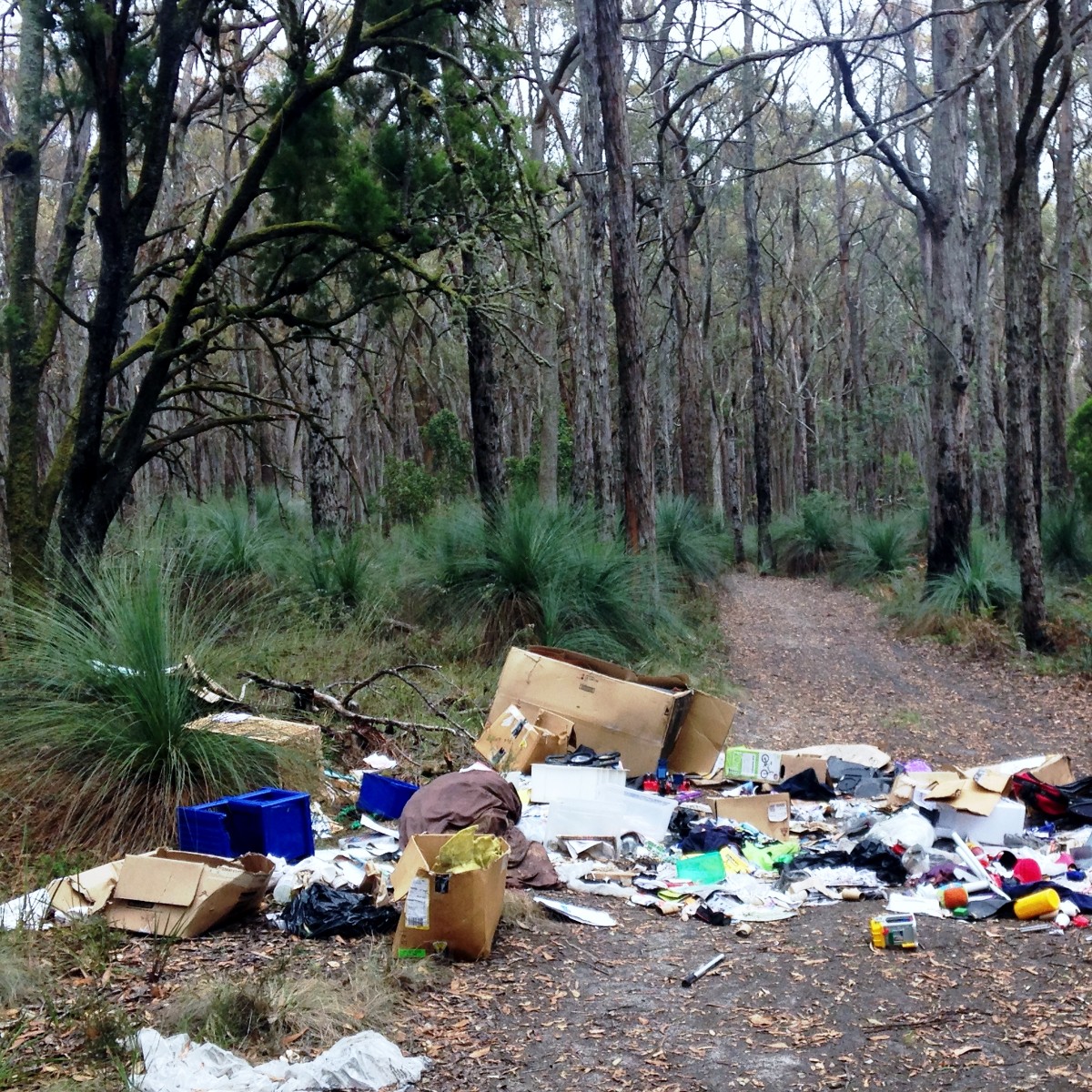 Ahead of getting into nature this long weekend, be aware that Authorised Officers will be on patrol targeting unsafe or illegal activity in Victoria’s parks. Penalties apply if caught doing the wrong thing. <a href="/ConservationReg/">Conservation Regulator Vic</a> #PuttingSafetyFirst
