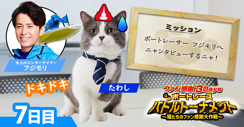 Lets_BOATRACE's tweet photo. 豪華賞品が毎日当たる⁉️
ニャンキュー #キャンペーン 7日目⭐

●○●○●○
ファン感謝3Daysボートレース
バトルトーナメント開催記念
●○●○●○

#猫 がミッションに成功すると大当たり🎯

①@Lets_BOATRACEをフォロー
②本投稿を10/8 23:59までにリポスト
③結果が届く