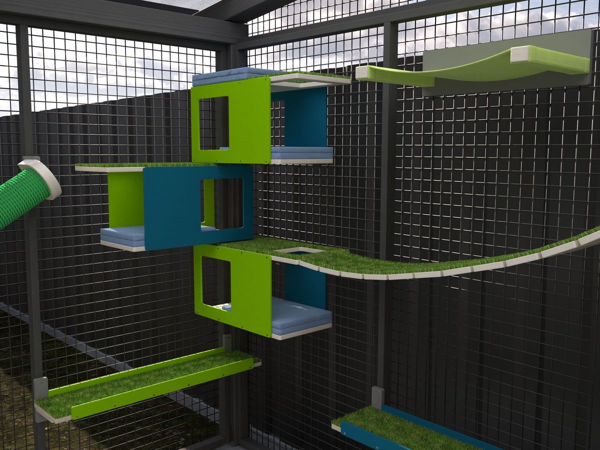 Ngo9lives's tweet photo. Plans for the future catio are set in motion!
It's gonna be lovely 💙💚#CatsOfTwitter #shelterforcats #helpcats #savecats #catvolunteer #fostercat #AdoptCat #adoptionistheonlyoption #AdoptDontShop Fank yoo @scratchy_things for the design! https://t.co/Ntzqtvh70y
