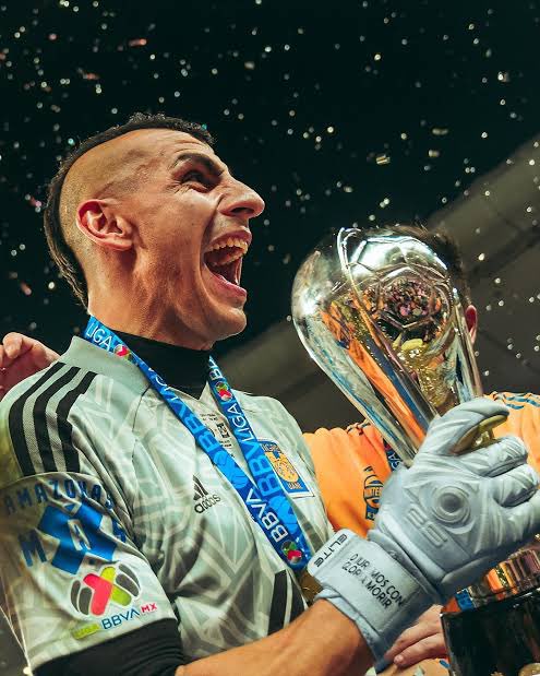 SergioADippW's tweet photo. ✅ Tienen al mejor portero de la Liga MX y al mejor delantero extranjero que ha venido a México

✅ 5 títulos de liga en los últimos 8 años

✅ Segundo lugar en Mundial de Clubes

✅ Da la cara por la Liga ante equipos de la MLS

Aunque les duela… TIGRES YA ES EQUIPO GRANDE 🐯 https://t.co/2igtsvNU2J