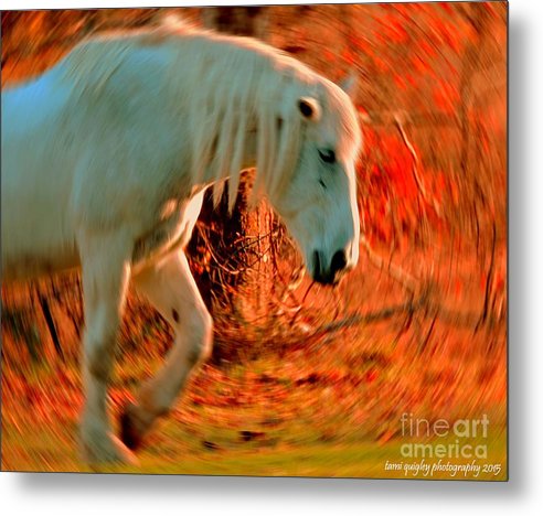 Memories At Sunset tami-quigley.pixels.com/featured/memor… #WildlifeWednesday #ThePhotoHour #ArtistOnTwitter #AYearForArt #BuyIntoArt #Horse #AutumnVibes #abstract #art for #falldecor #wallart #giftidea #homedecor! @visitPA @DCNRnews #FrenchCreekStatePark #LehighValley #lehighvalleyphotographer