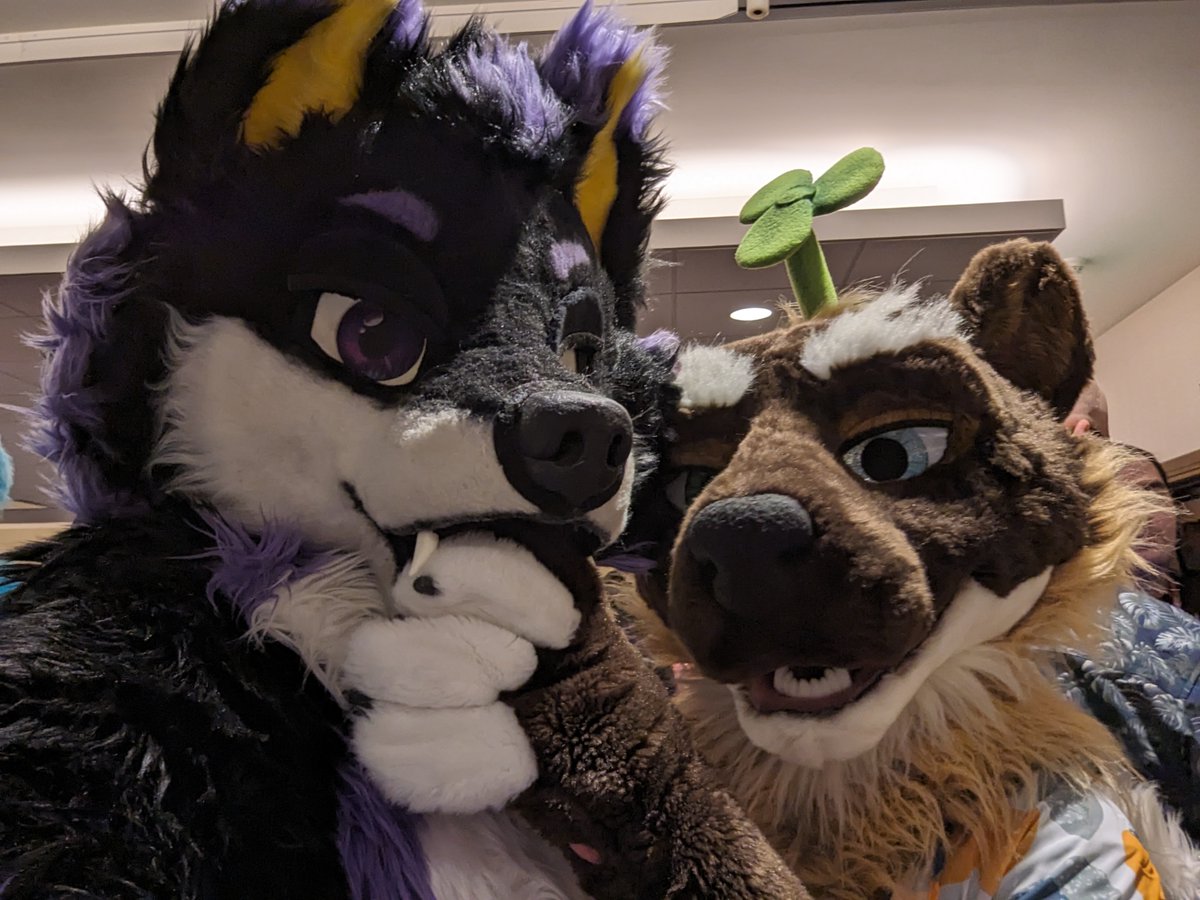 Polycereal 杂粮 tweet media