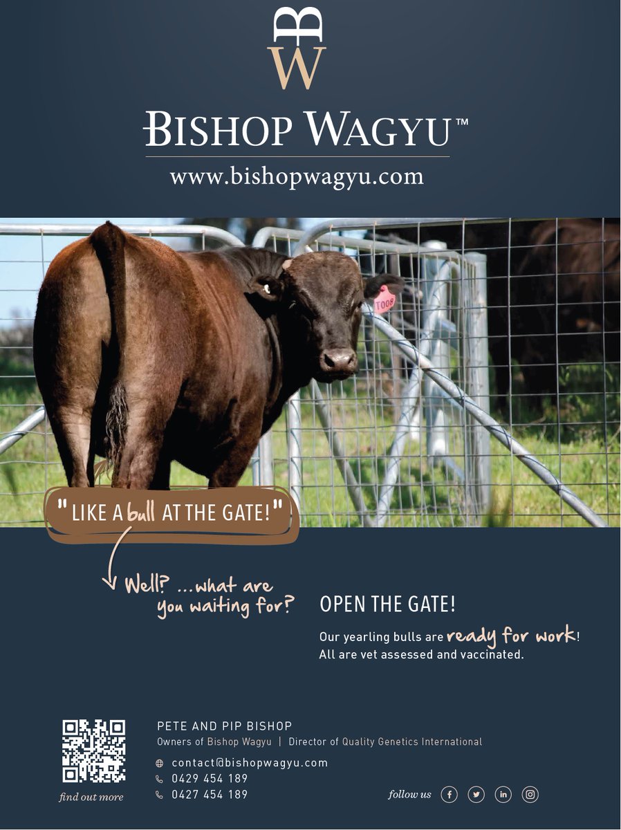 Don't lose site of the big picture, seasons will improve as will the markets. Don't be left short on
<a href="/AustWagyuAssoc/">Aust Wagyu Assoc</a>
#Bulls #power
<a href="/BishopWagyu/">Peter Bishop</a>