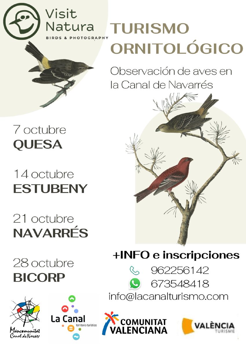 Vuelve la actividad gratuita #Birding en La Canal de Navarrés, 🐦 experiencia basada en la observación de aves y realizada por @VisitNatura ¡no te lo pierdas! Necesaria reserva previa:
☎ 962 256 142 / 673 54 84 18
📧 info@lacanalturismo.com

#LaCanalTerritorioturístico
