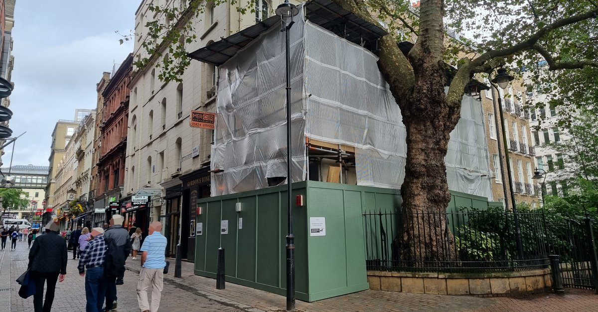 Villers Street, central London. Works are underway to salvage this Victorian building, affected by the growth of this protected tree.

It’s been a long journey getting the necessary permissions, but well worth it.

#planningexperts #conservationarea #tpo #structuraladjustments