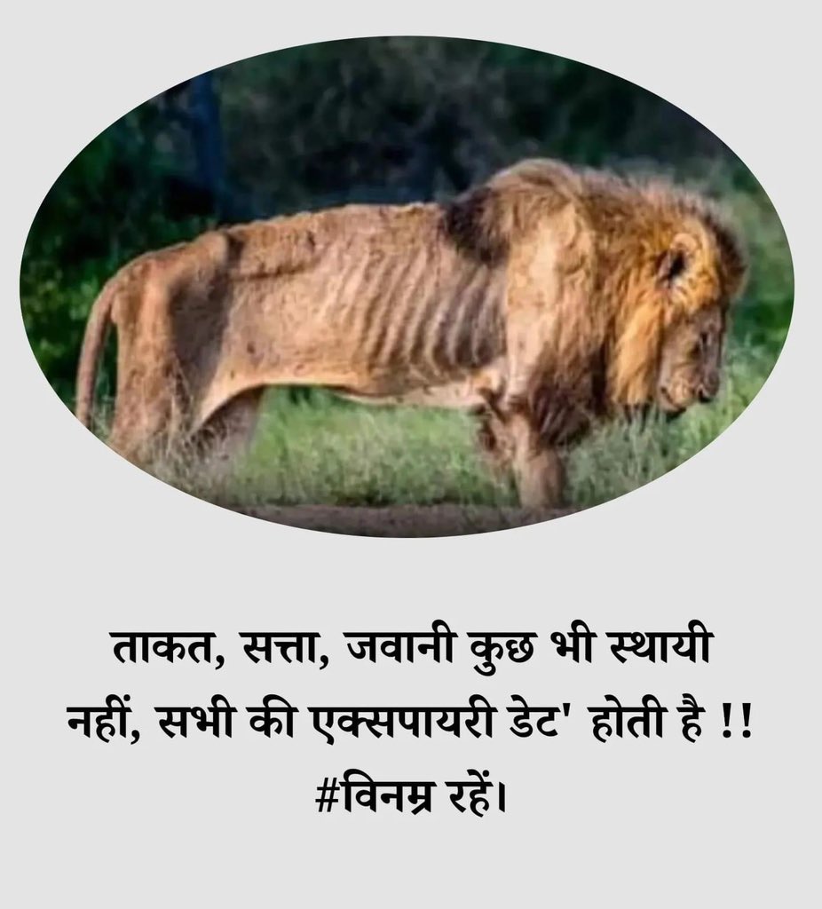 Mukesh Sharma Mlm♐️ (@themukesharma) on Twitter photo <a href="/dsrajpurohit291/">Doonger Singh</a> <a href="/RahulGandhi/">Rahul Gandhi</a> <a href="/ashokgehlot51/">Ashok Gehlot</a> <a href="/RajCMO/">CMO Rajasthan</a> #दिल्ली_कूच
#कंप्यूटर_अनुदेशक_भर्ती_में_शिथिलता_दे
युवाओं ने आलाकमान <a href="/RahulGandhi/">Rahul Gandhi</a> के बंगले पर डाला डेरा।जब तक खाली पदों को भरने का आदेश जारी नहीं हो जाता वहीं डटे रहेंगे।
<a href="/ashokgehlot51/">Ashok Gehlot</a>
जी रहम करो। u9k
<a href="/dsrajpurohit291/">Doonger Singh</a> <a href="/QamarAnchor/">Qamar 🇮🇳</a> <a href="/GovindDotasra/">Govind Singh Dotasra</a> <a href="/SachBedhadak/">Sach Bedhadak</a> <a href="/manojpehul/">MANOJ SHARMA/ मनोज शर्मा</a> <a href="/dsrajpurohit291/">Doonger Singh</a> <a href="/RahulGandhi/">Rahul Gandhi</a> <a href="/ashokgehlot51/">Ashok Gehlot</a> <a href="/RajCMO/">CMO Rajasthan</a> #दिल्ली_कूच
#कंप्यूटर_अनुदेशक_भर्ती_में_शिथिलता_दे
युवाओं ने आलाकमान <a href="/RahulGandhi/">Rahul Gandhi</a> के बंगले पर डाला डेरा।जब तक खाली पदों को भरने का आदेश जारी नहीं हो जाता वहीं डटे रहेंगे।
<a href="/ashokgehlot51/">Ashok Gehlot</a>
जी रहम करो। u9k
<a href="/dsrajpurohit291/">Doonger Singh</a> <a href="/QamarAnchor/">Qamar 🇮🇳</a> <a href="/GovindDotasra/">Govind Singh Dotasra</a> <a href="/SachBedhadak/">Sach Bedhadak</a> <a href="/manojpehul/">MANOJ SHARMA/ मनोज शर्मा</a>