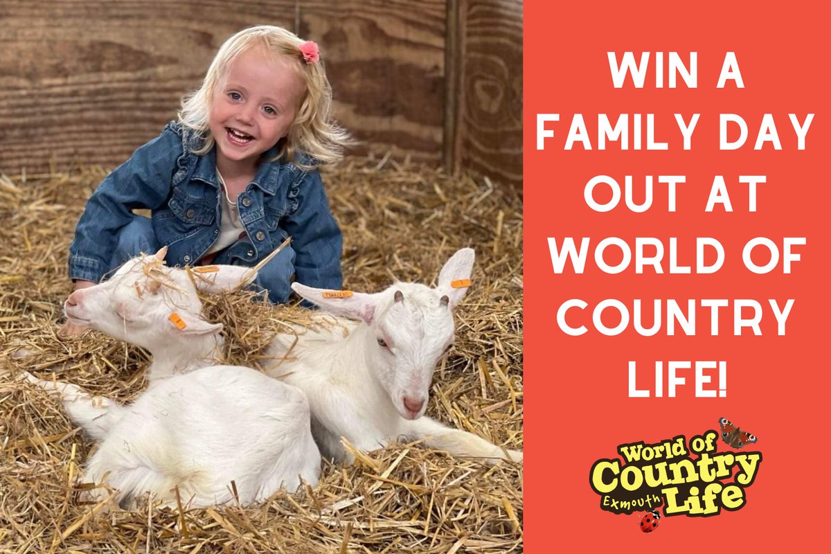 visitsouthdevon's tweet image. There's just a few days left to enter our competition with World of Country Life for a chance to win a family ticket! 🚜🌳⏳
Click the link below to enter:

👉 visitsouthdevon.co.uk/win/win-a-fami…

Reshare to spread the word and let your friends know 🤠🎟️ 

@VisitDevon @WOCL_EXMOUTH #EnterNow