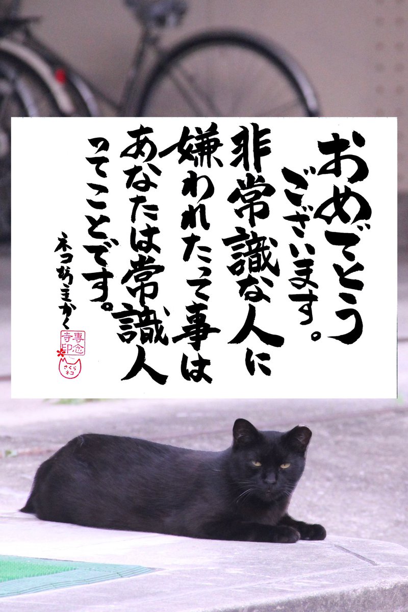 yabumoto610's tweet photo. ネコさ��から人間さんへ今日の一言 https://t.co/SsBC0nnGZO