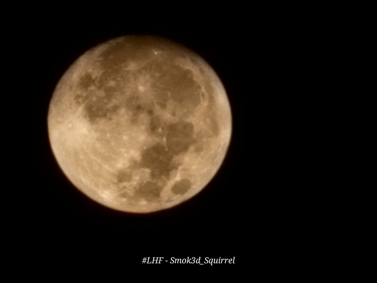 Smok3dS's tweet photo. Beautiful #harvestmoon this morning. 😍 I just had to snap a few pics, despite this migrane &amp; getting my feet wet in the dewy grass. Lol. And, I love the jack-o-lantern🎃 look one.🥰
📷 - Fawn Squirrel-Davis 
@alancrone @StephenNehrenz @NewsOn6 #myok #okwx #Oklahoma #moon #sky https://t.co/n5i2p4kbjg