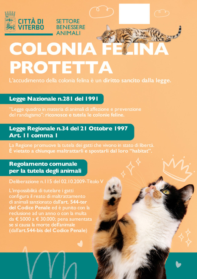 Colonie feline protette, un cartello per indicare i luoghi dove i gatti vengono regolarmente accuditi dalle volontarie
continua a leggere l'articolo su occhioviterbese.it/colonie-feline…

#ColonieFeline #Viterbo #Occhioviterbese #Tuscia #provinciadiViterbo #News #Notizie #Online