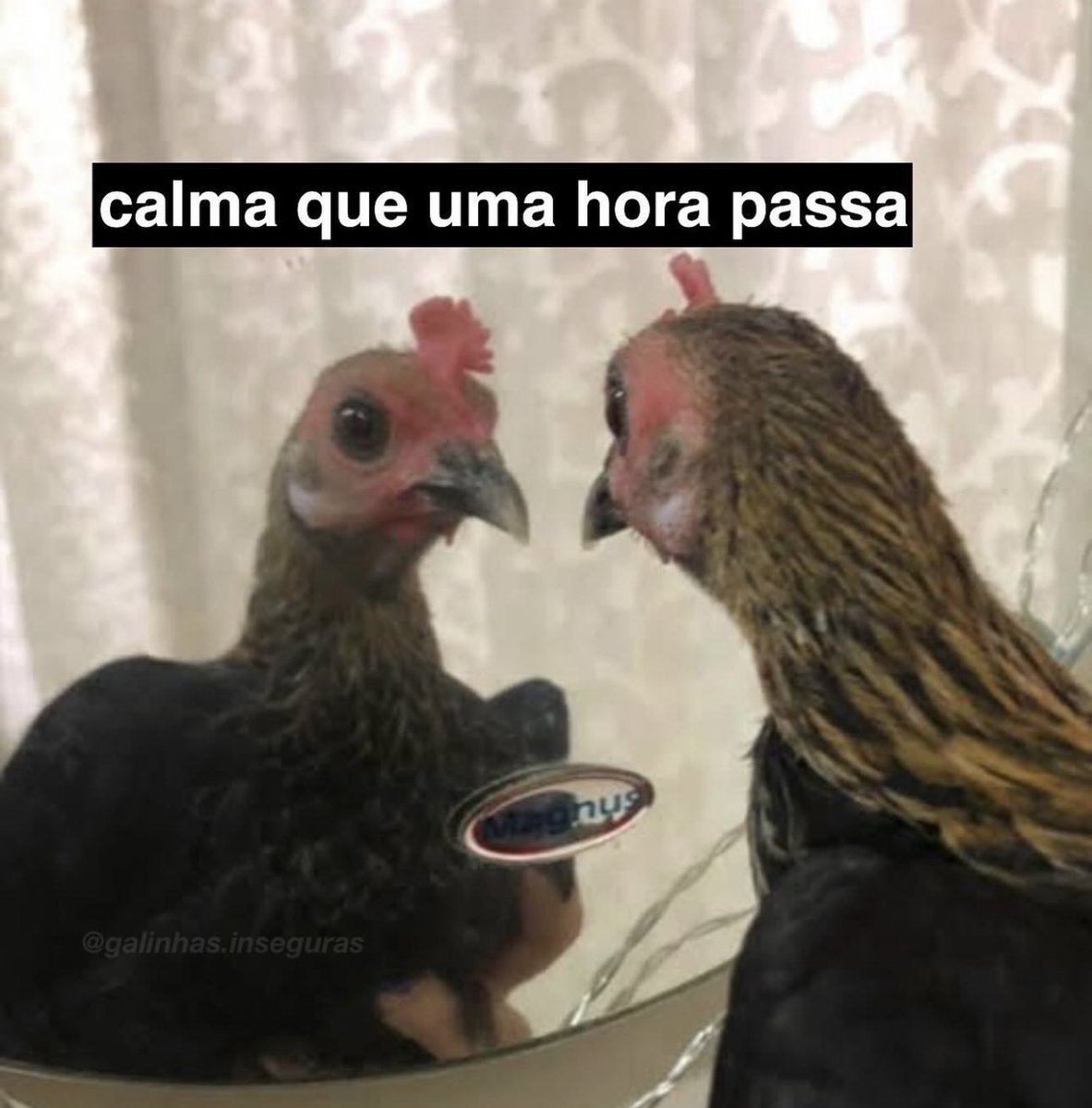 luscas's tweet photo. e vamos de mais um dia https://t.co/fqn1HvlZee