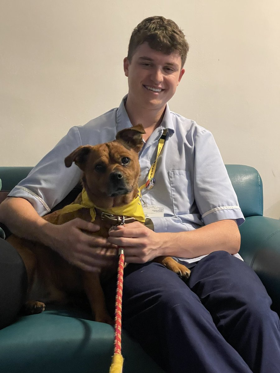 DaisyThePatDog's tweet photo. We’ve not been on for a while as I was really poorly 🤒 But I’m all signed off by the vet and I’m back to work! 
This week I visited @mulberryward1 and @OJA_Brumby in Scunthorpe. It was AMAZING!! I had the best time ever. I love my job https://t.co/KWfEoCvSVY