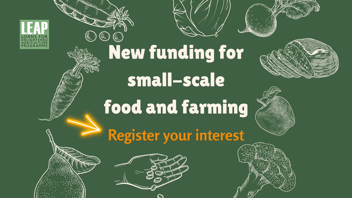 🌾New funding for small-scale food & farming - register your interest now 🌾 LEAP offers a mix of loan & grant. We support agroecological veg box schemes, micro-dairies, bakeries, ethical supermarkets and more. Find out more and register your interest: realfarming.org/programmes/lea…