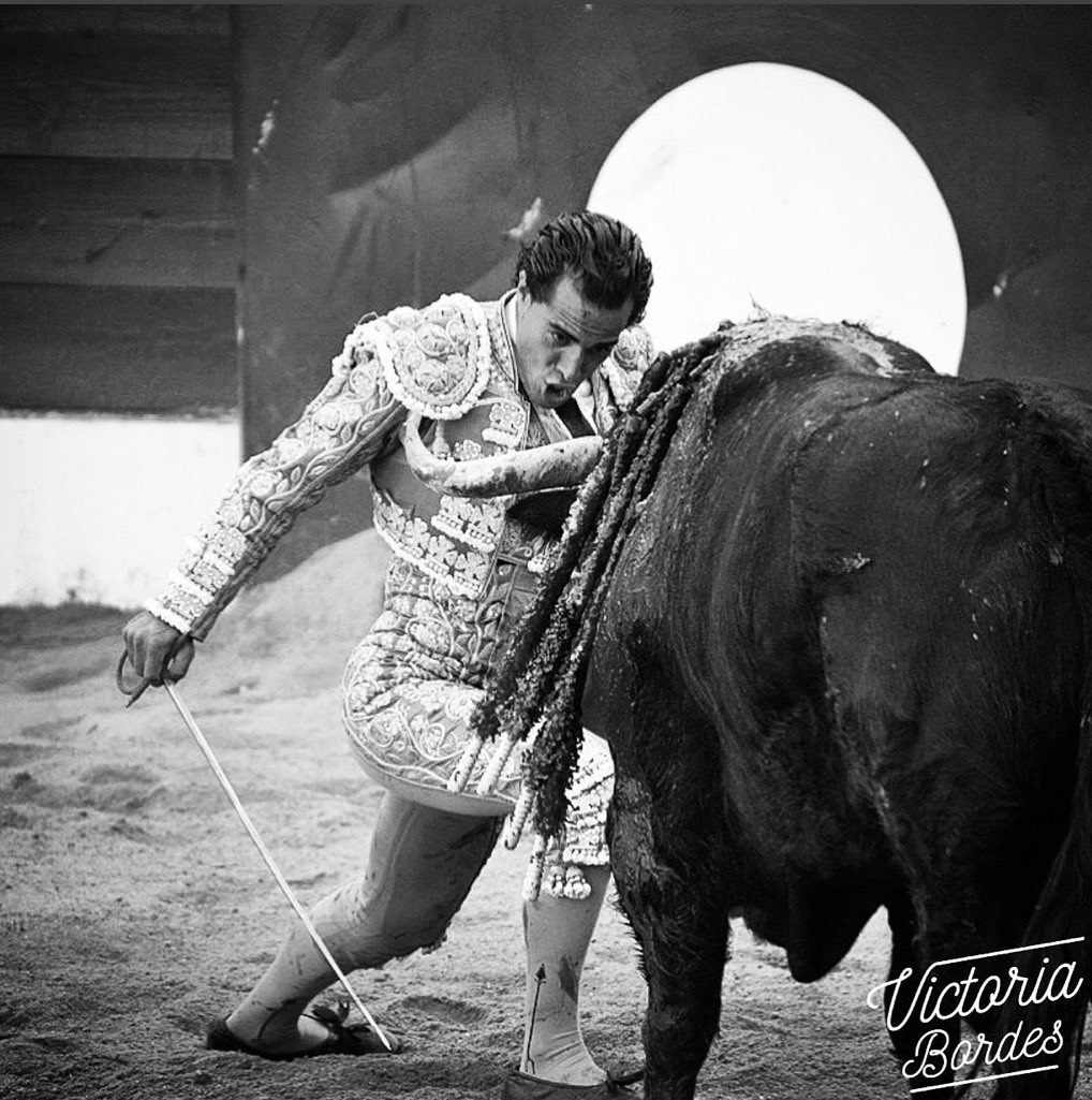 fandinistas's tweet photo. 🦁🦁🦁💚💚💚 #orgullofandiñista #orgullodemitorero 🦁🦁💚💚💚 #mitoreroesunleon🦁🦁 #fandiño #ivanfandiño https://t.co/EYmm9NXibD