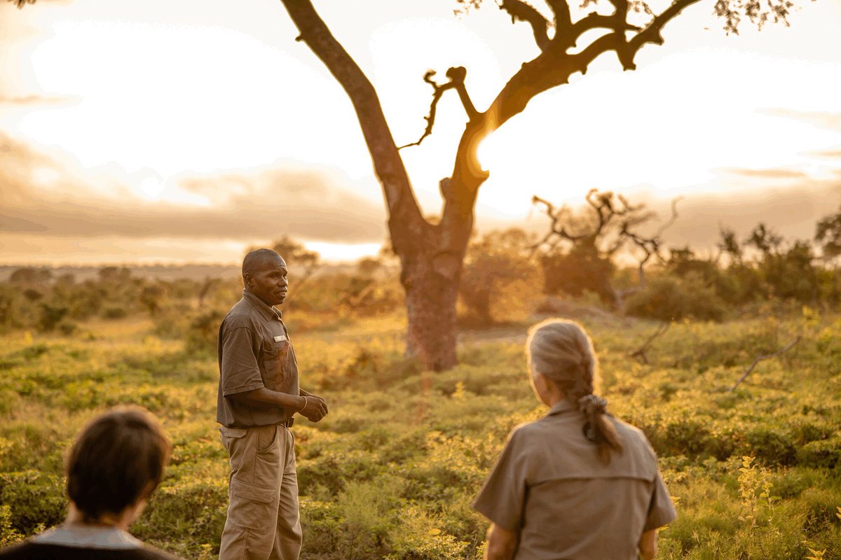 KapamaReserve's tweet photo. Sunrise safari moments! What better way to detach and reconnect with nature.
#sunrisesafari #wildlifephotograpy https://t.co/ZluvUTX93F