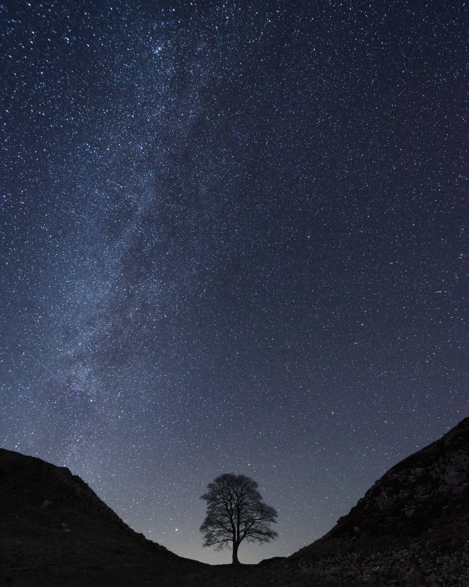 leefer3's tweet photo. Seriously pissed me off reading about this

The level of absolutely shiteness has reached epic levels

The Sycamore Gap tree near Hadrians Wall at Hexham cut down by some warped moron. https://t.co/MV6MxNY9wB
