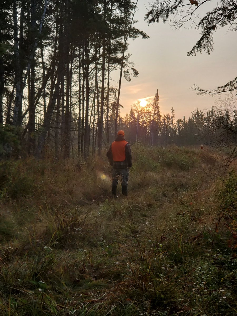 Beauty morning - New Brunswick