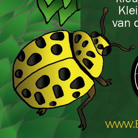 AnnekeStory's tweet photo. Utopia Fresh Hop Blond wordt eind oktober afgevuld op blik. Het #lieveheersbeestje heeft de hoofdrol op het ontwerp als mede-beheerder van de hop.
Een #SneakPeek, zondag presenteren we het ontwerp tijdens Oogstdag 2023 in de Stijl Hoptuin.
#bier #Almere #UtopiaEiland #Hops https://t.co/Cpo7682cdf