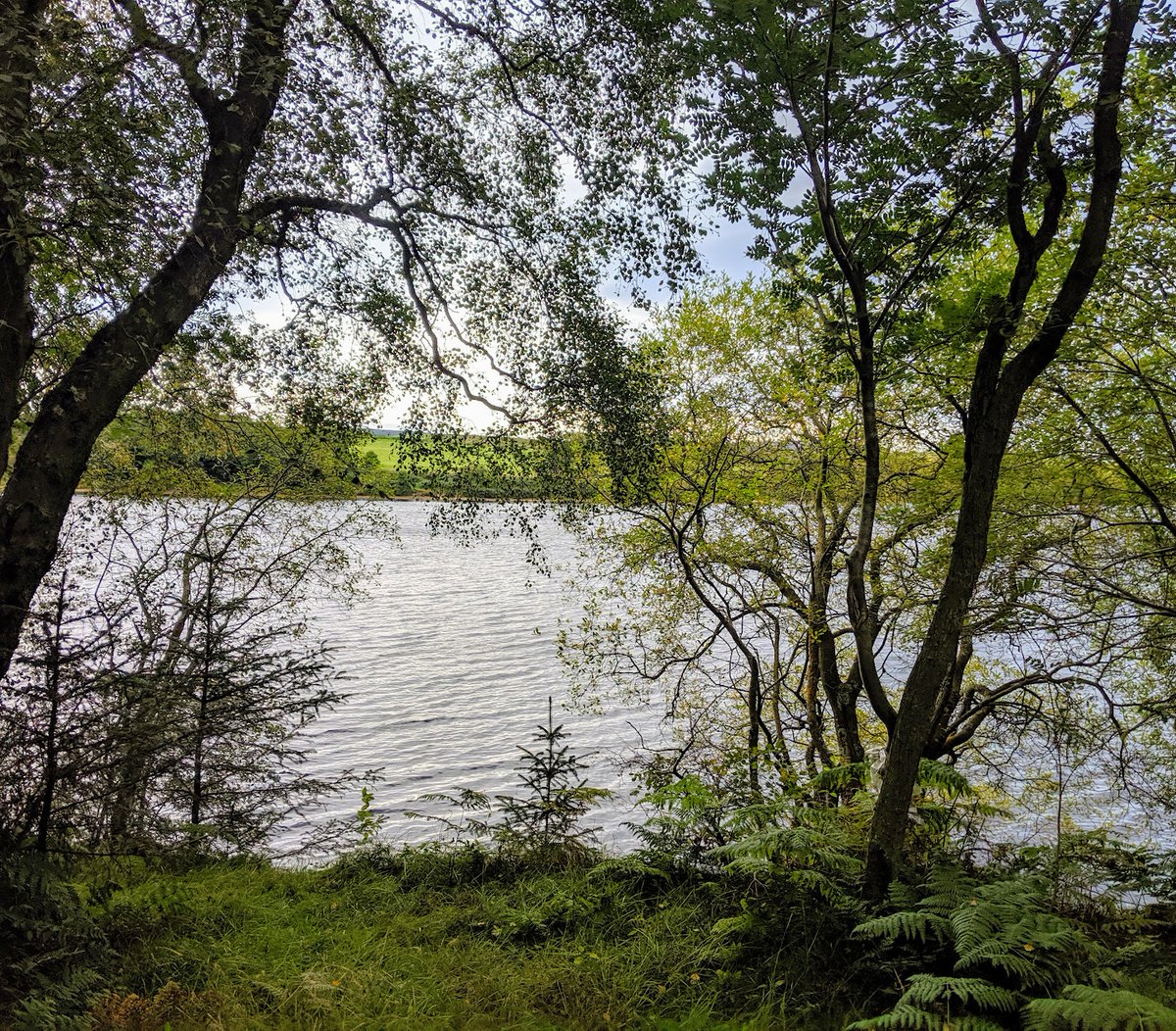 Samantha Rickelton tweet media